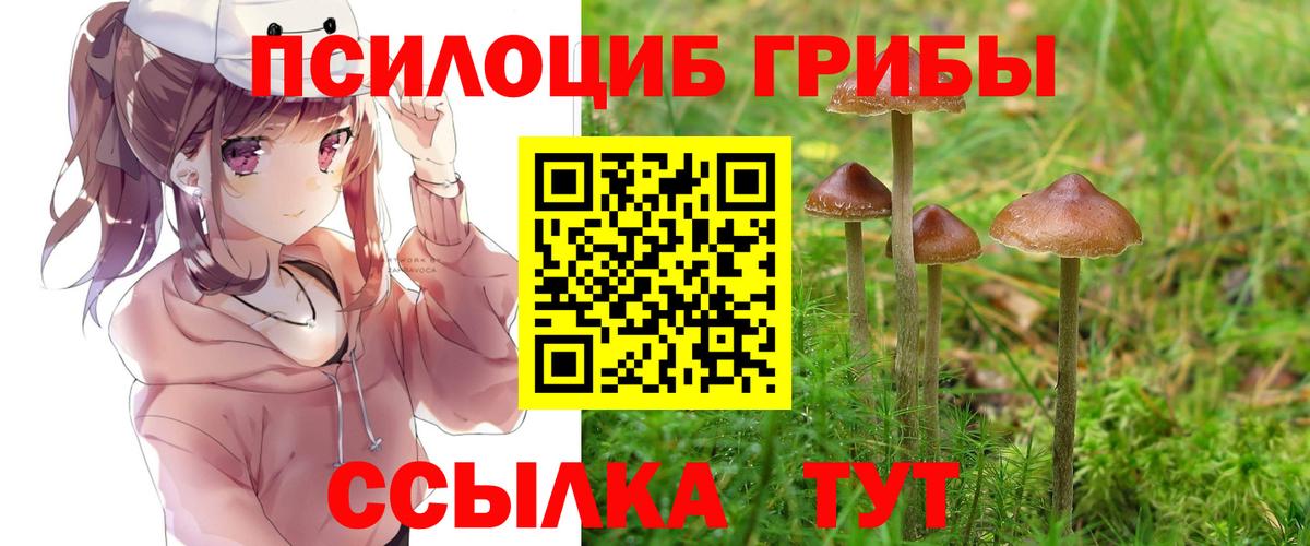 купить закладку  Вход с VPN  Псилоцибиновые грибы GOLDEN TEACHER  Новороссийск  Псилоцибиновые грибы прущие грибы 